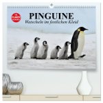 Pinguine - Watscheln im festlichen Kleid (hochwertiger Premium Wandkalender 2026 DIN A2 quer), Kunstdruck in Hochglanz