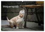 Welpenspaß (Wandkalender 2026 DIN A2 quer), CALVENDO Monatskalender