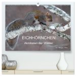 EICHHÖRNCHEN (hochwertiger Premium Wandkalender 2026 DIN A2 quer), Kunstdruck in Hochglanz