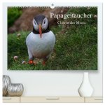 Papageitaucher Clowns der Meere (hochwertiger Premium Wandkalender 2026 DIN A2 quer), Kunstdruck in Hochglanz