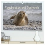 Kegelrobben und Seehunde (hochwertiger Premium Wandkalender 2026 DIN A2 quer), Kunstdruck in Hochglanz