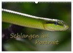Schlangen im Portrait (Wandkalender 2026 DIN A3 quer), CALVENDO Monatskalender