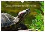 Das Leben der Schildkröten (Wandkalender 2026 DIN A4 quer), CALVENDO Monatskalender