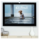Elli Pirelli... aus dem Leben eines fröhlichen Pinscher-Dackel-Mädels (hochwertiger Premium Wandkalender 2026 DIN A2 quer), Kunstdruck in Hochglanz