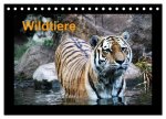Wildtiere (Tischkalender 2026 DIN A5 quer), CALVENDO Monatskalender