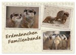 Erdmännchen Familienbande (Tischkalender 2026 DIN A5 quer), CALVENDO Monatskalender