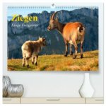 Ziegen. Kluge Freigeister (hochwertiger Premium Wandkalender 2026 DIN A2 quer), Kunstdruck in Hochglanz