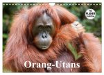 Orang-Utans (Wandkalender 2026 DIN A4 quer), CALVENDO Monatskalender