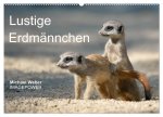 Lustige Erdmännchen (Wandkalender 2026 DIN A2 quer), CALVENDO Monatskalender