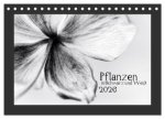 Pflanzen in Schwarz und Weiß (Tischkalender 2026 DIN A5 quer), CALVENDO Monatskalender