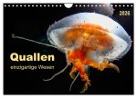 Quallen - einzigartige Wesen (Wandkalender 2026 DIN A4 quer), CALVENDO Monatskalender