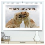 Tibet-Spaniel (hochwertiger Premium Wandkalender 2026 DIN A2 quer), Kunstdruck in Hochglanz