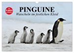 Pinguine - Watscheln im festlichen Kleid (Wandkalender 2026 DIN A3 quer), CALVENDO Monatskalender
