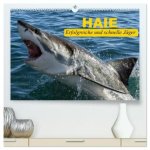 Haie. Erfolgreiche und schnelle Jäger (hochwertiger Premium Wandkalender 2026 DIN A2 quer), Kunstdruck in Hochglanz