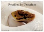 REPTILIEN IM TERRARIUM (Wandkalender 2026 DIN A4 quer), CALVENDO Monatskalender