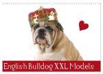 English Bulldog XXL Models (Wandkalender 2026 DIN A3 quer), CALVENDO Monatskalender