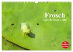 Frosch müsste man sein! (Wandkalender 2026 DIN A3 quer), CALVENDO Monatskalender
