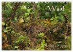 Wald (Wandkalender 2026 DIN A3 quer), CALVENDO Monatskalender