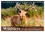 Wildtiere. Heimische Schönheiten (Tischkalender 2026 DIN A5 quer), CALVENDO Monatskalender