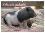 Schwein gehabt! (Wandkalender 2026 DIN A2 quer), CALVENDO Monatskalender