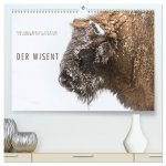 Emotionale Momente: Der Wisent. (hochwertiger Premium Wandkalender 2026 DIN A2 quer), Kunstdruck in Hochglanz