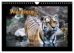 Wildtiere (Wandkalender 2026 DIN A4 quer), CALVENDO Monatskalender