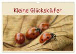 Kleine Glückskäfer (Wandkalender 2026 DIN A3 quer), CALVENDO Monatskalender