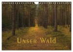 Unser Wald - Magische Sichten in norddeutsche Wälder (Wandkalender 2026 DIN A4 quer), CALVENDO Monatskalender
