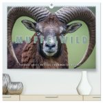 Emotionale Momente: Muffelwild. (hochwertiger Premium Wandkalender 2026 DIN A2 quer), Kunstdruck in Hochglanz