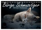 Bärige Schmusetiger - Britisch Kurzhaar (Tischkalender 2026 DIN A5 quer), CALVENDO Monatskalender