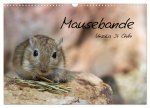 Mausebande (Wandkalender 2026 DIN A3 quer), CALVENDO Monatskalender