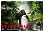 Regenwald - Tiere im Dschungel (Wandkalender 2026 DIN A3 quer), CALVENDO Monatskalender