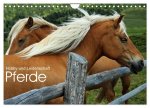 Pferde - Hobby und Leidenschaft (Wandkalender 2026 DIN A4 quer), CALVENDO Monatskalender