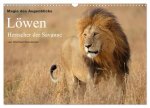 Magie des Augenblicks - Löwen - Herrscher der Savanne (Wandkalender 2026 DIN A3 quer), CALVENDO Monatskalender