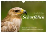 Scharfblick (Wandkalender 2026 DIN A4 quer), CALVENDO Monatskalender