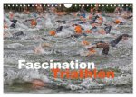 Fascination Triathlon (Wandkalender 2026 DIN A4 quer), CALVENDO Monatskalender