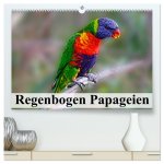 Regenbogen Papageien (hochwertiger Premium Wandkalender 2026 DIN A2 quer), Kunstdruck in Hochglanz