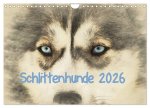 Schlittenhunde 2026 (Wandkalender 2026 DIN A4 quer), CALVENDO Monatskalender