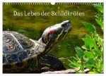 Das Leben der Schildkröten (Wandkalender 2026 DIN A3 quer), CALVENDO Monatskalender