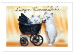 Lustiger Katzenkalender (Wandkalender 2026 DIN A3 quer), CALVENDO Monatskalender