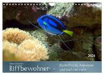 Riffbewohner - Bunte Fische, Anemonen und noch viel mehr (Wandkalender 2026 DIN A4 quer), CALVENDO Monatskalender