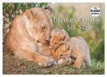 Emotionale Momente: Löwenbabys - so süß. (Wandkalender 2026 DIN A2 quer), CALVENDO Monatskalender