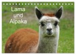 Lama und Alpaka (Tischkalender 2026 DIN A5 quer), CALVENDO Monatskalender