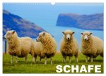 Schafe / Geburtstagskalender (Wandkalender 2026 DIN A3 quer), CALVENDO Monatskalender