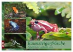 Baumsteigerfrösche. Pfeilgiftfrösche - gefährlich schön (Wandkalender 2026 DIN A2 quer), CALVENDO Monatskalender