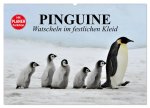 Pinguine - Watscheln im festlichen Kleid (Wandkalender 2026 DIN A2 quer), CALVENDO Monatskalender