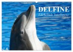 Delfine - Lächelnde Intelligenz (Wandkalender 2026 DIN A2 quer), CALVENDO Monatskalender