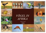 Vögel in Afrika - Magie der Farben (Wandkalender 2026 DIN A2 quer), CALVENDO Monatskalender