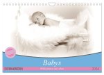 Babys - Willkommen im Leben (Wandkalender 2026 DIN A4 quer), CALVENDO Monatskalender