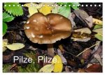 Pilze, Pilze (Tischkalender 2026 DIN A5 quer), CALVENDO Monatskalender